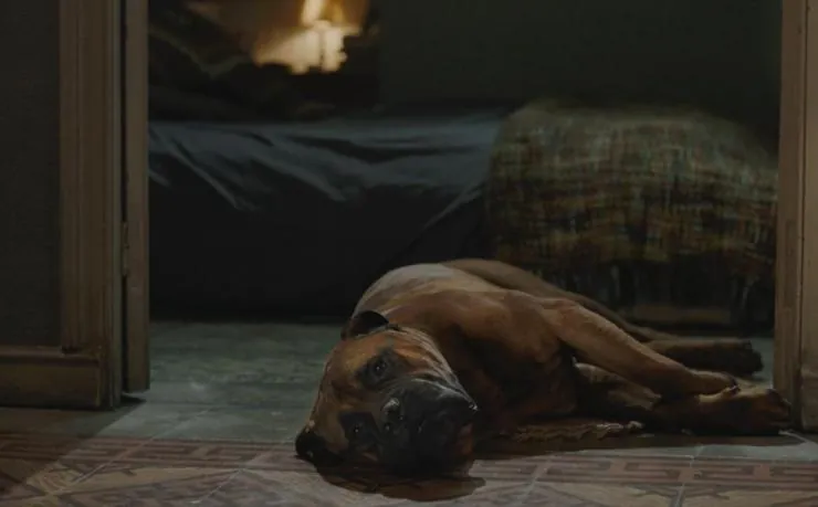 Трумэн (2015) через торрент скачать Трумэн (2015) фильм через торрент скачать