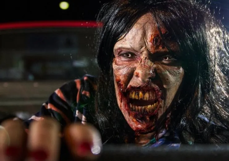 Я и мои друзья против зомби-апокалипсиса (2015) через торрент скачать Я и мои друзья против зомби-апокалипсиса (2015) фильм через торрент скачать