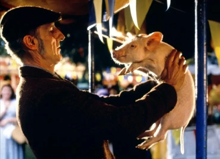 Бэйб: Четвероногий малыш (1995) в хорошем качестве через торрент Бэйб: Четвероногий малыш (1995) фильм в хорошем качестве через торрент