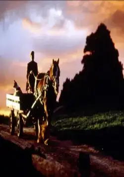 Бэйб: Четвероногий малыш (1995) через торрент скачать Бэйб: Четвероногий малыш (1995) фильм через торрент скачать