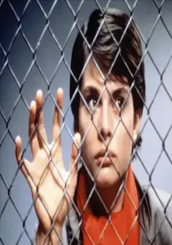 Люди-кошки (1982) через торрент скачать Люди-кошки (1982) фильм через торрент скачать