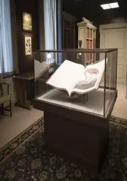 Американские животные (2018) через торрент скачать Американские животные (2018) фильм через торрент скачать