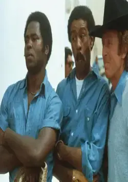 Буйнопомешанные (1980) в хорошем качестве через торрент Буйнопомешанные (1980) фильм в хорошем качестве через торрент