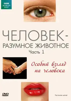 BBC: Человек – разумное животное / The Human Animal (1994) сериал скачать через торрент в хорошем качестве