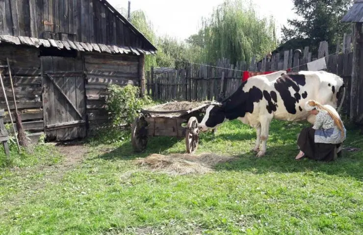 Ведьма (2019) через торрент скачать Ведьма (2019) сериал через торрент скачать