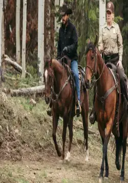 Йеллоустоун (2018) через торрент скачать Йеллоустоун (2018) сериал через торрент скачать