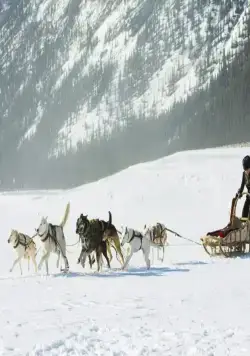 Клондайк (2014) через торрент скачать Клондайк (2014) сериал через торрент скачать