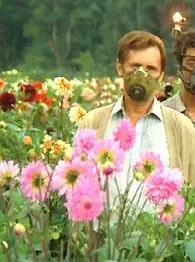 Кин-дза-дза (1986) через торрент скачать Кин-дза-дза (1986) фильм через торрент скачать