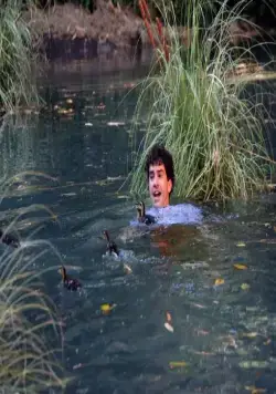 Сумасшедшие (2013) в хорошем качестве через торрент Сумасшедшие (2013) сериал в хорошем качестве через торрент