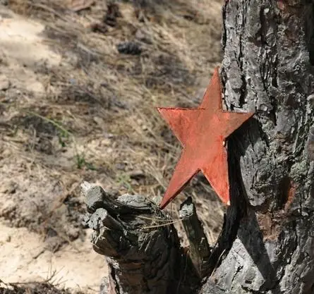 Баллада о бомбере (2011) через торрент бесплатно Баллада о бомбере (2011) сериал через торрент бесплатно