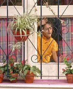 В поисках отца (2005) через торрент бесплатно В поисках отца (2005) сериал через торрент бесплатно