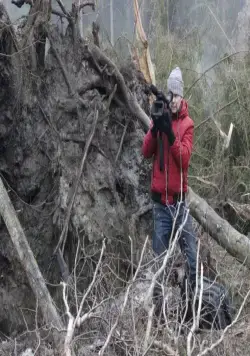 Лесник 3 (2015) через торрент бесплатно Лесник 3 (2015) сериал через торрент бесплатно