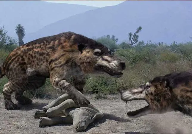 Прогулки с чудовищами (2001) через торрент бесплатно Прогулки с чудовищами (2001) сериал через торрент бесплатно