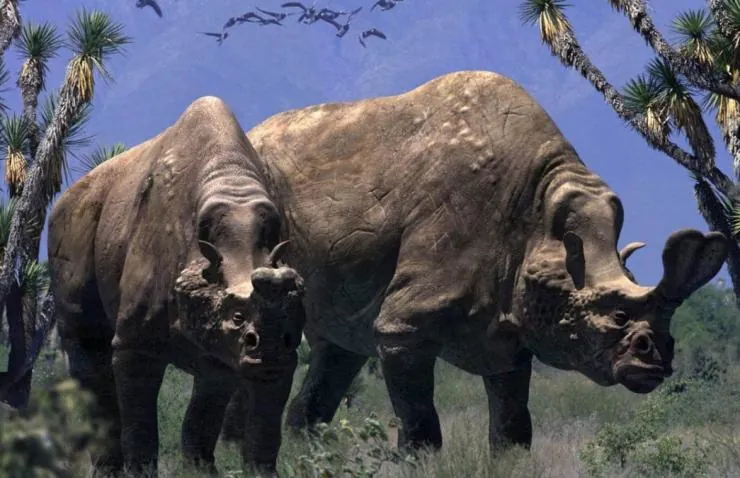 Прогулки с чудовищами (2001) в хорошем качестве через торрент Прогулки с чудовищами (2001) сериал в хорошем качестве через торрент