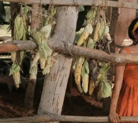 Красивая неудачница (2009) через торрент бесплатно Красивая неудачница (2009) сериал через торрент бесплатно