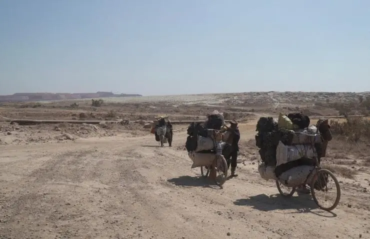 Макала (2017) в хорошем качестве через торрент Макала (2017) фильм в хорошем качестве через торрент