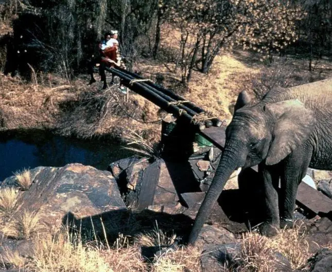 Невероятные приключения янки в Африке (1993) в хорошем качестве через торрент Невероятные приключения янки в Африке (1993) фильм в хорошем качестве через торрент