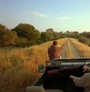 Сафари 3D (2005) через торрент бесплатно Сафари 3D (2005) фильм через торрент бесплатно