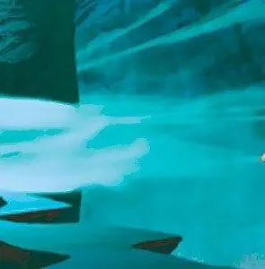 Сон в летнюю ночь (2005) через торрент скачать Сон в летнюю ночь (2005) мультфильм через торрент скачать