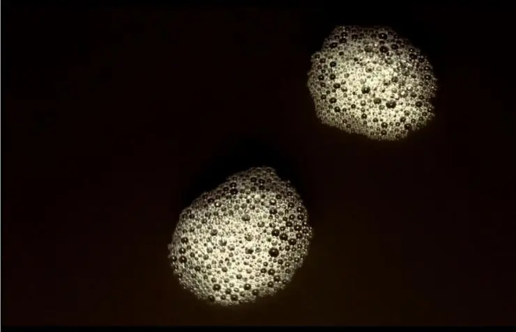 Генезис (2004) через торрент бесплатно Генезис (2004) фильм через торрент бесплатно