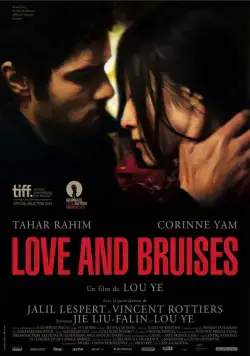 Любовь и ссадины / Love and Bruises (2011) фильм скачать через торрент в хорошем качестве