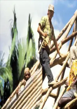 Берег москитов (1986) в хорошем качестве через торрент Берег москитов (1986) фильм в хорошем качестве через торрент