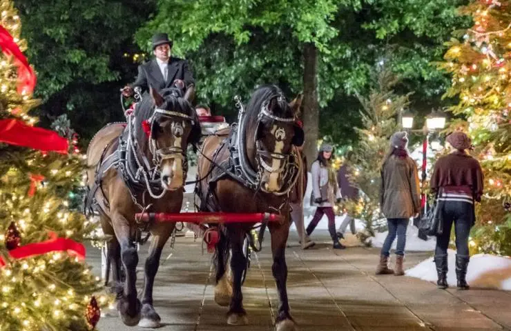 Шанс на Рождество (2017) через торрент бесплатно Шанс на Рождество (2017) фильм через торрент бесплатно
