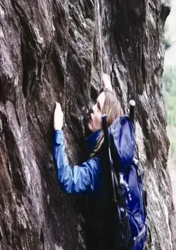 Похищенная (2011) в хорошем качестве через торрент Похищенная (2011) фильм в хорошем качестве через торрент