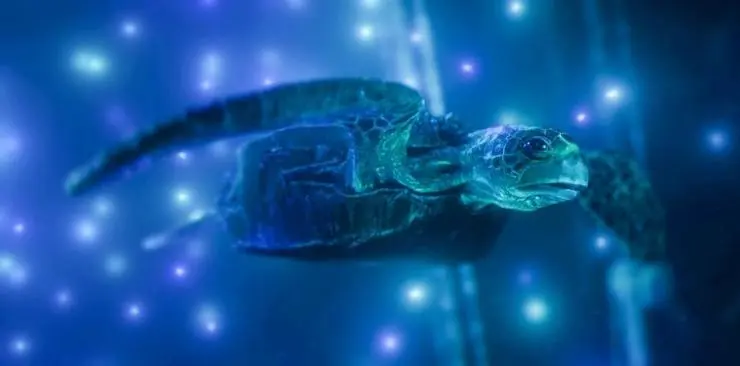 Гибриды (2017) через торрент бесплатно Гибриды (2017) мультфильм через торрент бесплатно