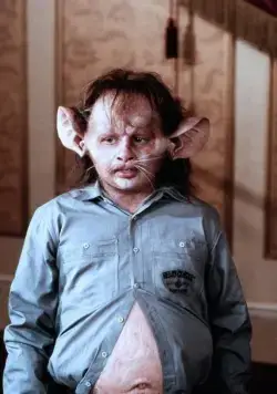 Ведьмы (1989) через торрент скачать Ведьмы (1989) фильм через торрент скачать