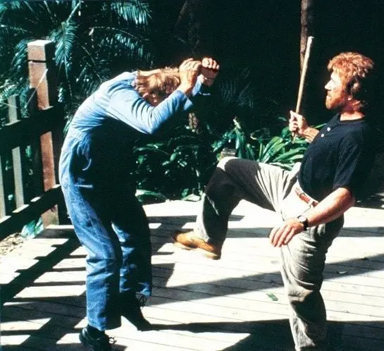 Главная собака (1995) через торрент бесплатно Главная собака (1995) фильм через торрент бесплатно