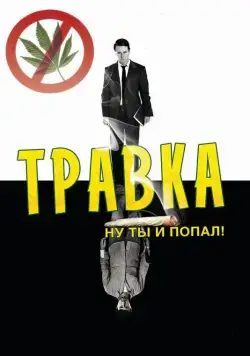 Травка / Leaves of Grass (2009) фильм скачать через торрент в хорошем качестве