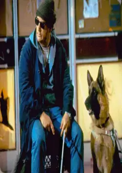 К-9 III: Частные детективы (2002) через торрент скачать К-9 III: Частные детективы (2002) фильм через торрент скачать