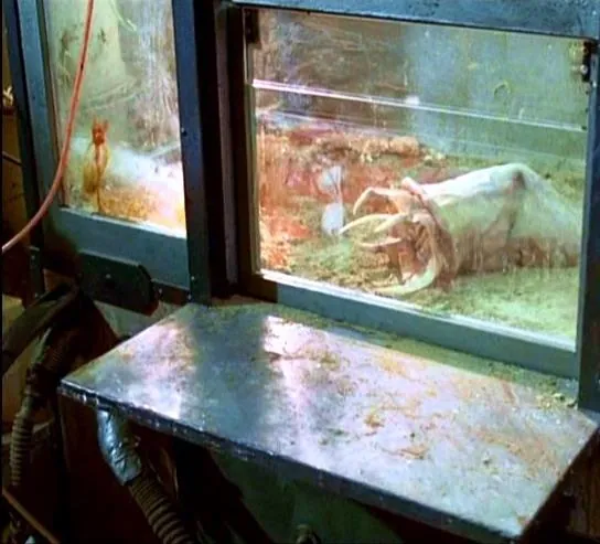 Презерватив-убийца (1996) в хорошем качестве через торрент Презерватив-убийца (1996) фильм в хорошем качестве через торрент