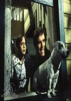 История моего лета (1994) через торрент скачать История моего лета (1994) фильм через торрент скачать