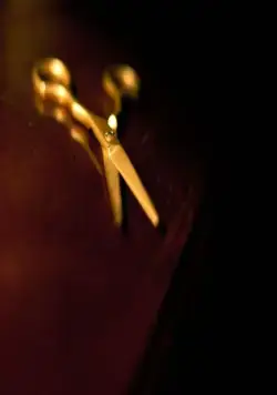 Золотые ножницы (2012) в хорошем качестве через торрент Золотые ножницы (2012) фильм в хорошем качестве через торрент