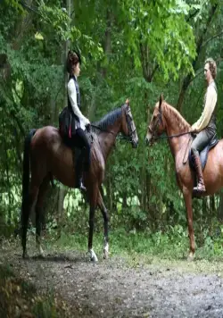 Кинчем - мое сокровище (2017) через торрент скачать Кинчем - мое сокровище (2017) фильм через торрент скачать