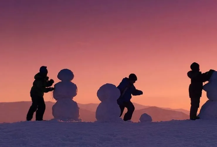 Снеговики (2010) через торрент скачать Снеговики (2010) фильм через торрент скачать