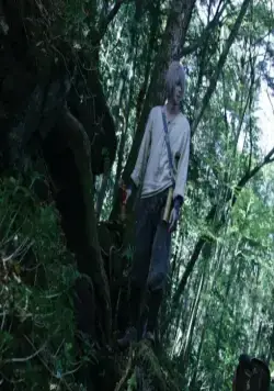 Мастер Муси (2006) в хорошем качестве через торрент Мастер Муси (2006) фильм в хорошем качестве через торрент