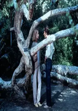 Американский жиголо (1980) в хорошем качестве через торрент Американский жиголо (1980) фильм в хорошем качестве через торрент