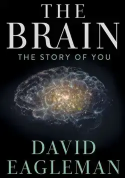 Мозг с Дэвидом Иглменом / The Brain with Dr. David Eagleman (2015) сериал скачать через торрент в хорошем качестве