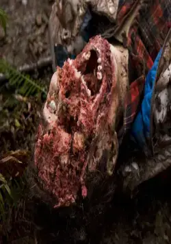 Гризли (2015) через торрент скачать Гризли (2015) фильм через торрент скачать