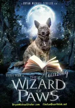 Удивительный волшебник из Лапы / The Amazing Wizard of Paws (2015) фильм скачать через торрент в хорошем качестве