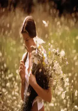 Ускользающая красота (1996) через торрент скачать Ускользающая красота (1996) фильм через торрент скачать