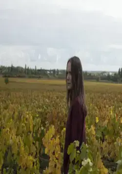 Возвращение в Бургундию (2016) через торрент скачать Возвращение в Бургундию (2016) фильм через торрент скачать