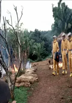 Эпидемия (1995) в хорошем качестве через торрент Эпидемия (1995) фильм в хорошем качестве через торрент