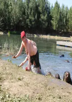 Бобры-зомби (2014) через торрент бесплатно Бобры-зомби (2014) фильм через торрент бесплатно