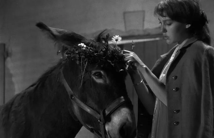 Наудачу, Бальтазар (1966) через торрент скачать Наудачу, Бальтазар (1966) фильм через торрент скачать