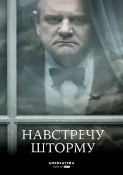 Навстречу шторму / Into the Storm (2009) фильм скачать через торрент в хорошем качестве