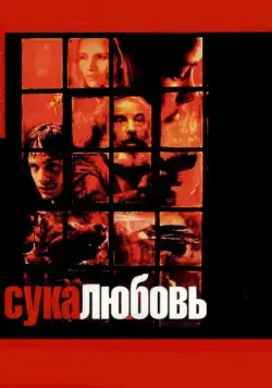 Сука-любовь / Amores perros (2000) фильм скачать через торрент в хорошем качестве